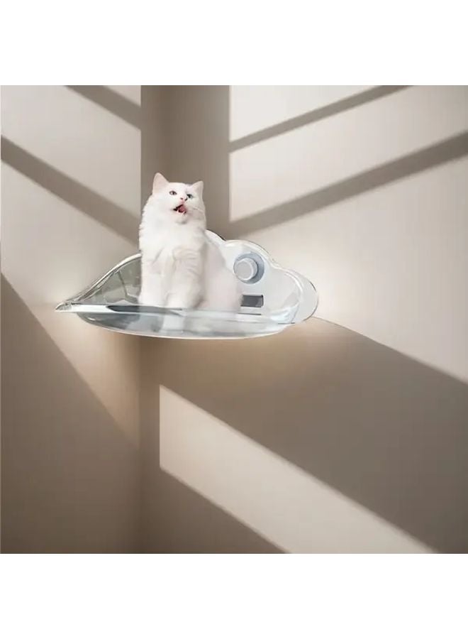 Coffee Color Detachable Transparent Cat Window Perch Modular Structure Suction Cup Installation Durable Polypropylene - Image 3